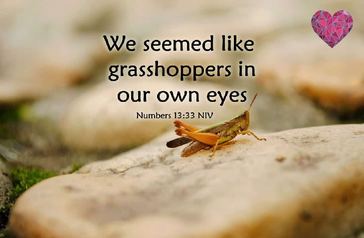 This Weeks Message